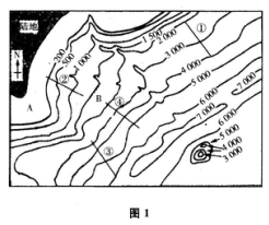 2018年成人高考史地综合考试精选试题及答案(2)